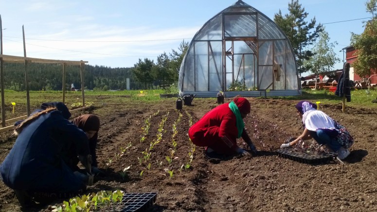 dype-røtter-urban-dyrking-integrering