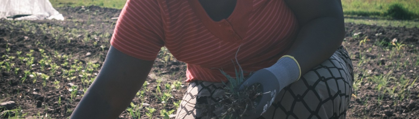 flykninger og integrering