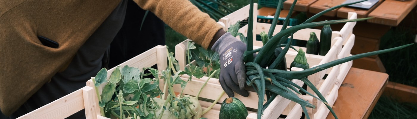 redusere avfall det betyr noe