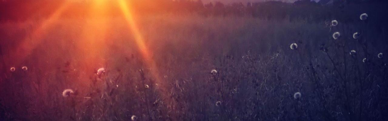 Reppe Søndre Gård solnedgang