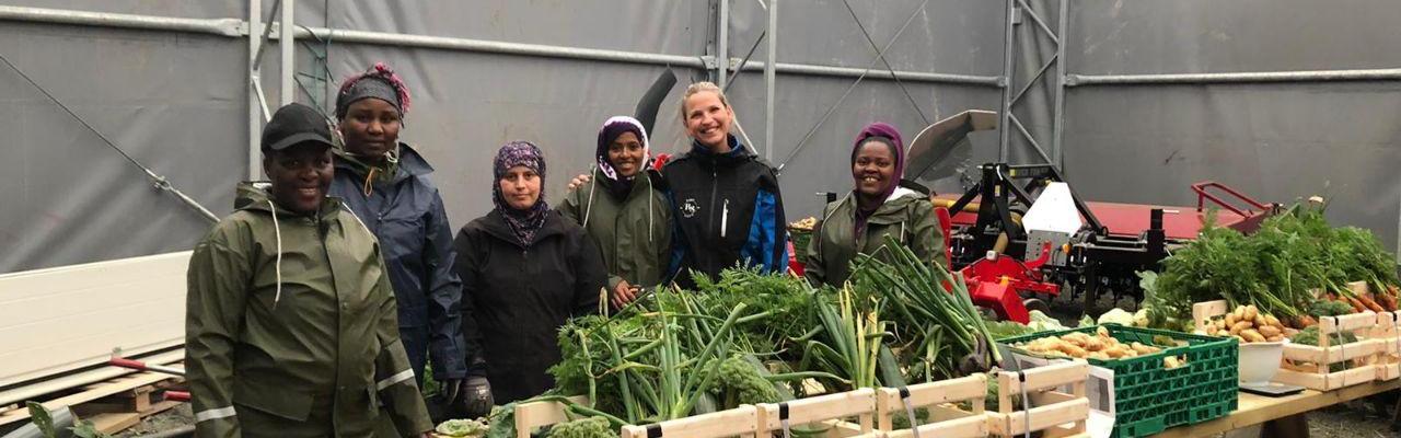 Dype Røtter deltakerne på høstedagen