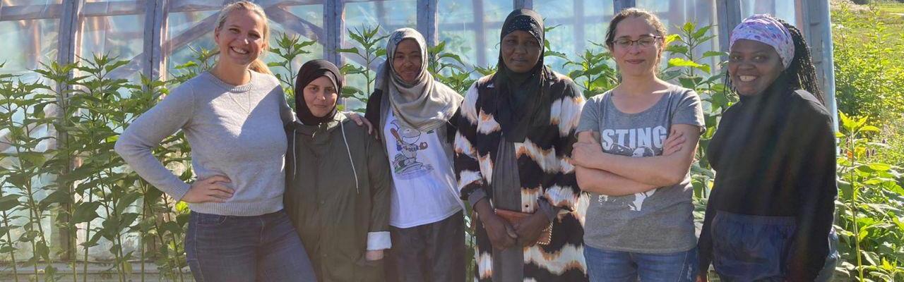 dype røtter åpen dag