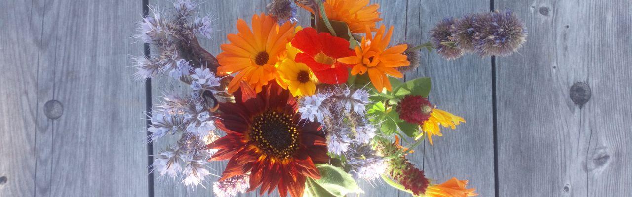 deltakerne med fantastisk mangfold