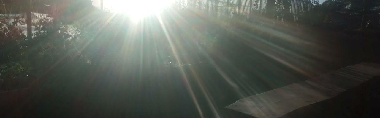 Dype Røtter grønnsakskassene