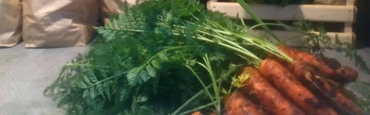Siste uke av Dype Røtter grønnsakskassene
