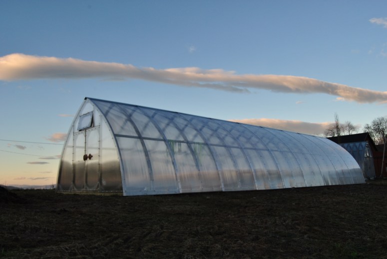 Dype Røtter drivhus