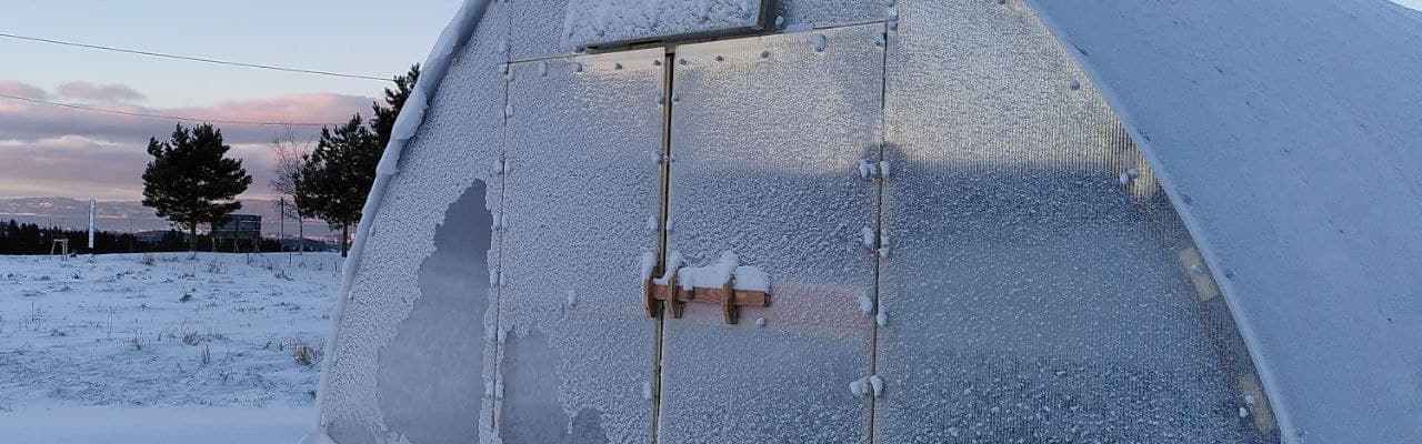 Dype Røtterdrivhus i vinter