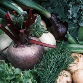 Dype Røtter grønnsaker