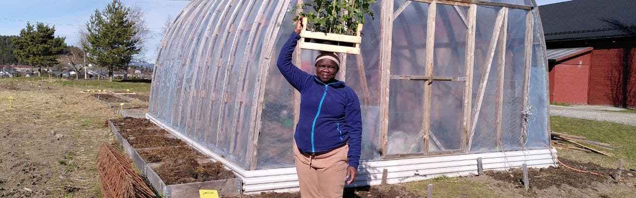 Dype Røtter tomater