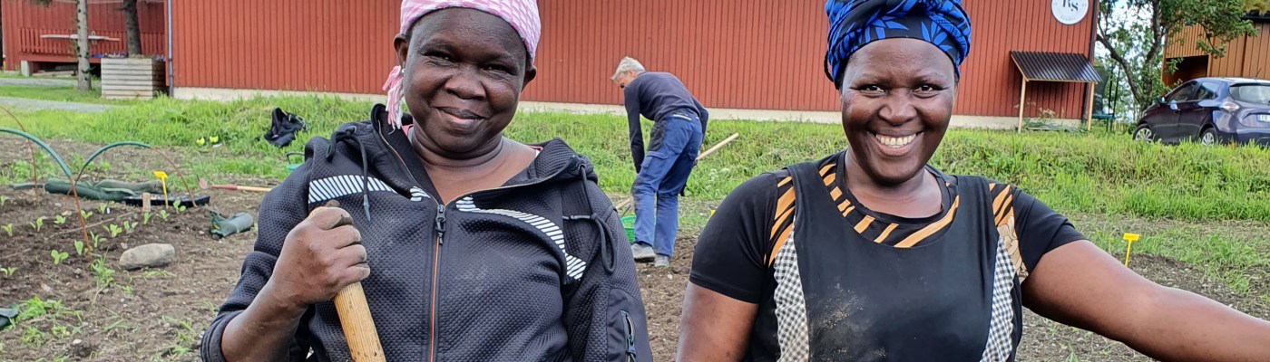 planting ute på Dype Røtter åkeren