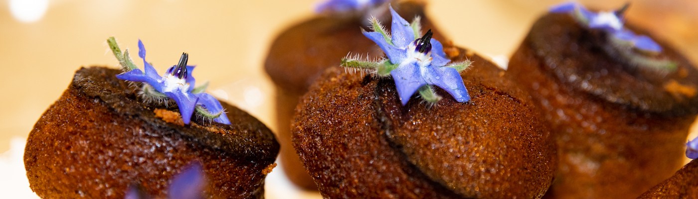 Dype Røtter gårdsbutikk og kafe