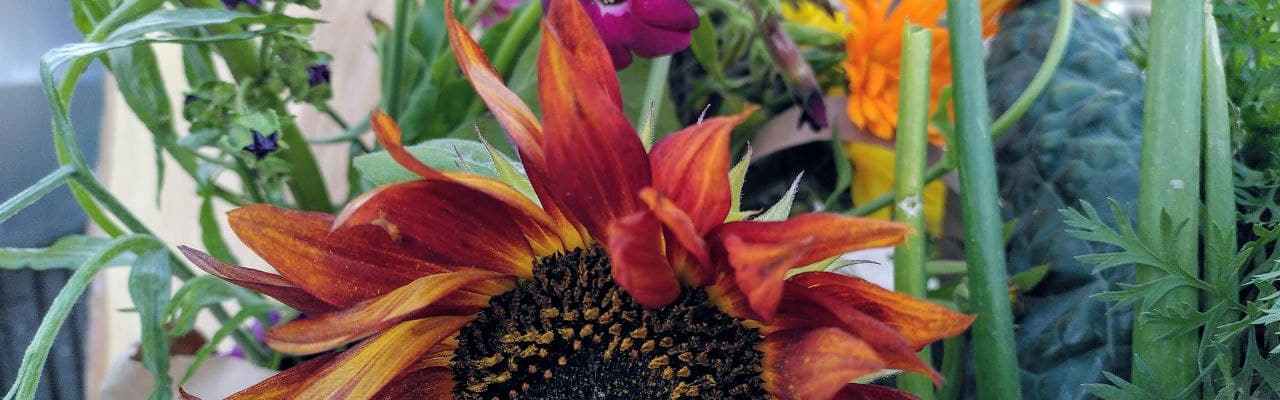 Dype Røtter blomster