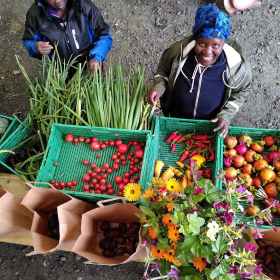 Mangfold på Dype Røtter åkeren