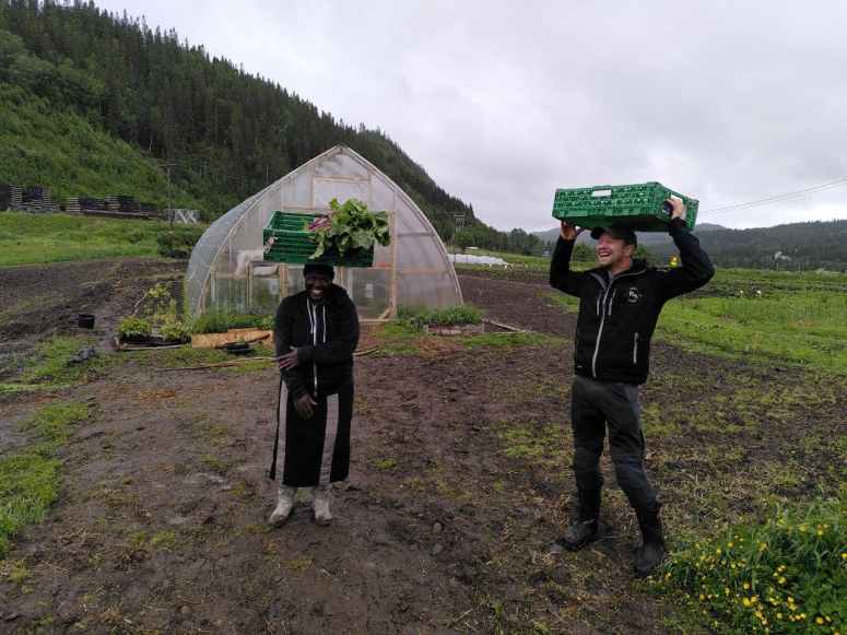 Lære afrikanske ferdigheter