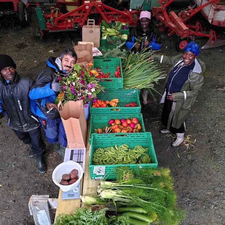 Farge fra markedshagen