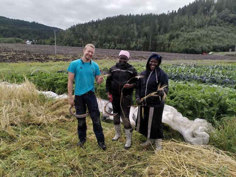 Tradisjonelle teknikker